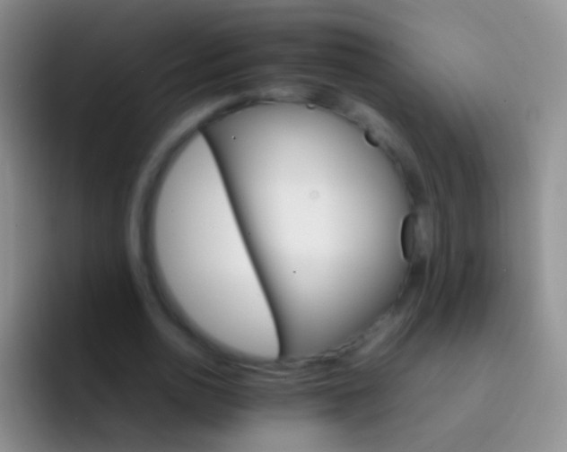 X0000092070726200709262045