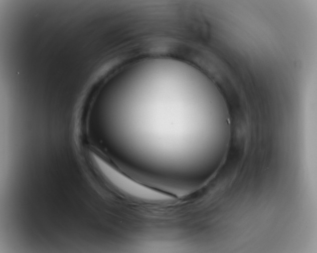 X0000092070728200709262045