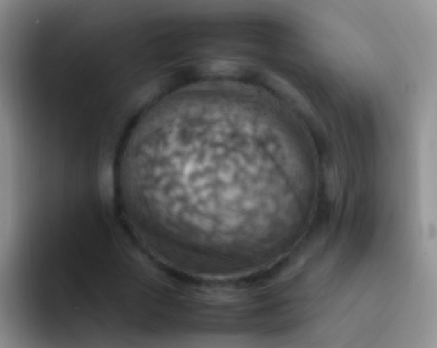 X0000092070729200709262045