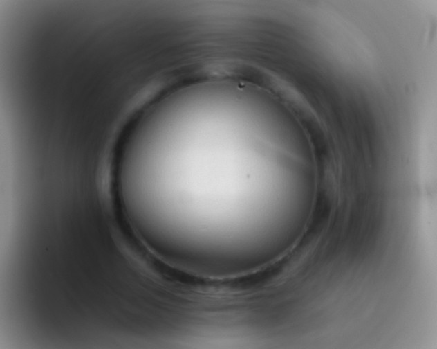 X0000092070730200709262045