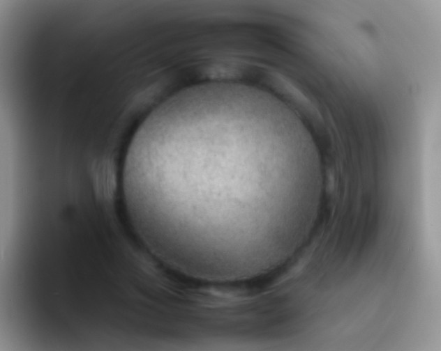 X0000092070733200709262045