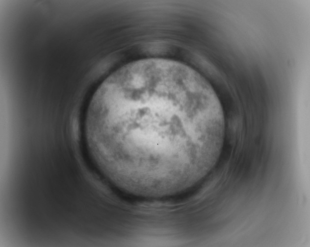X0000092070734200709262045