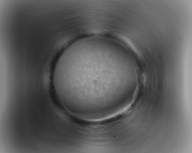X0000092070736200709262045