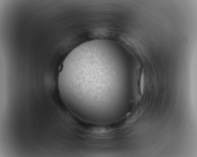 X0000092070751200709262046