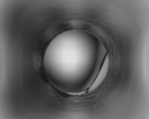 X0000092070752200709262046