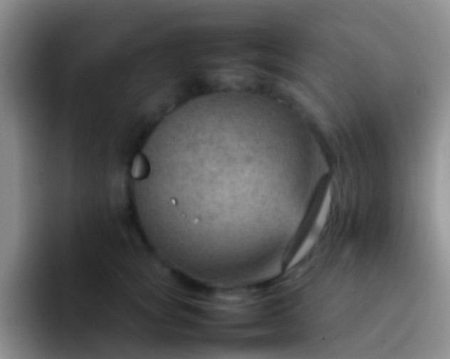 X0000092070757200709262046