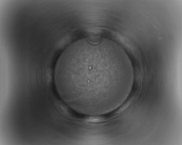 X0000092070758200709262046