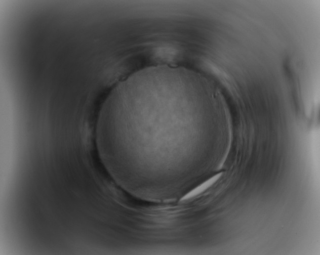 X0000092070759200709262046