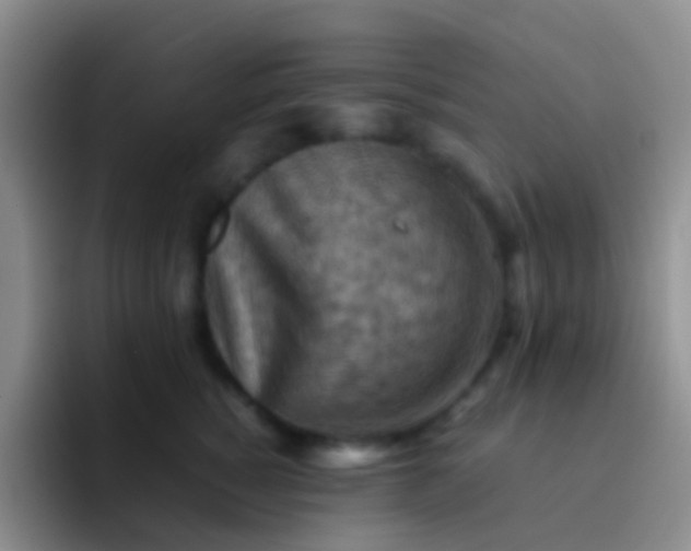 X0000092070760200709262046