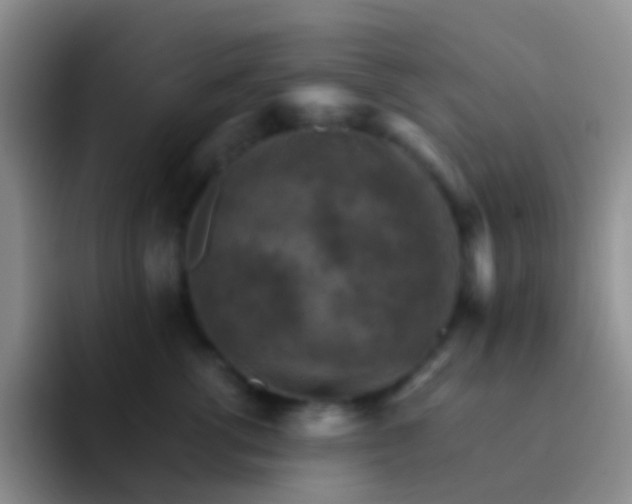 X0000092070762200709262046