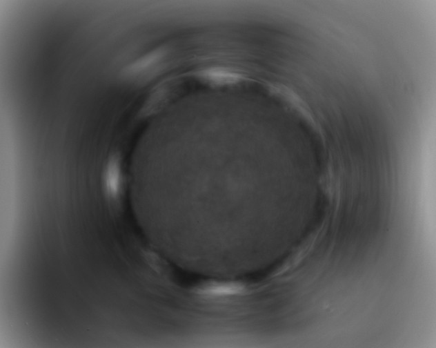 X0000092070763200709262046