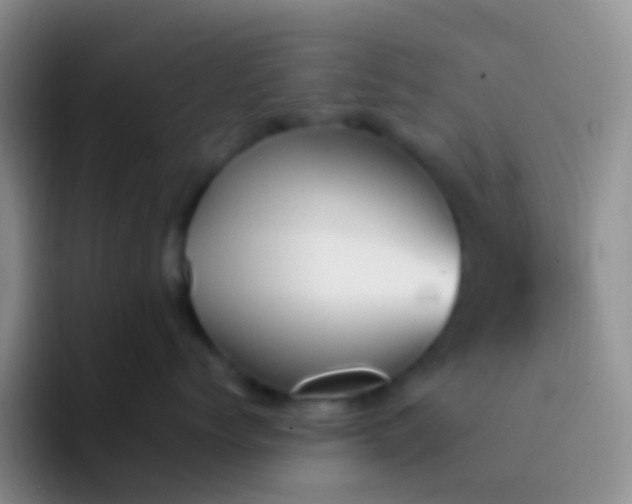 X0000092070768200709262046