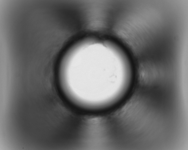 X0000092070769200709262045
