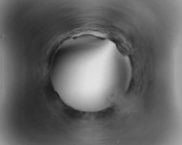 X0000092070773200709262045