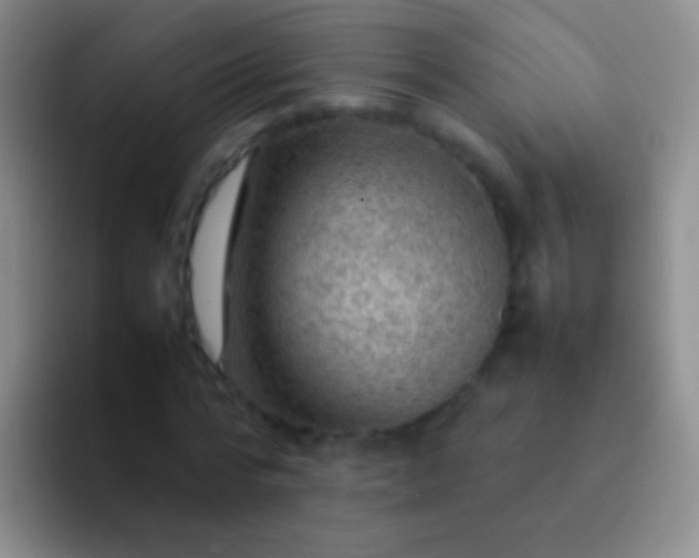 X0000092070776200709262045