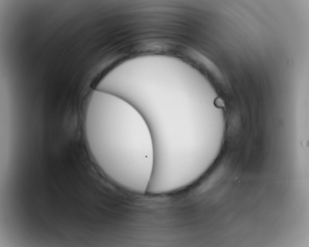 X0000092070778200709262045