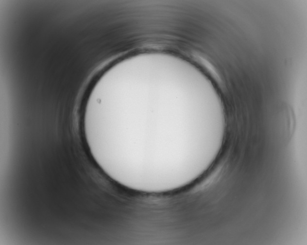 X0000092070779200709262045