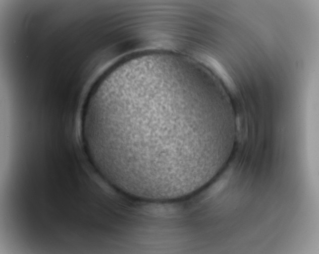 X0000092070780200709262045