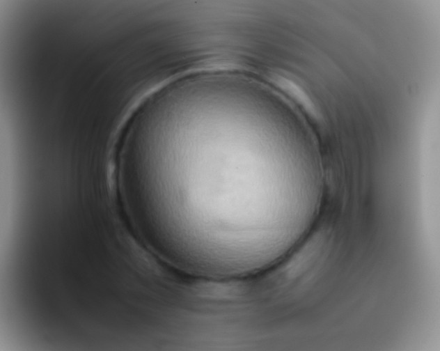 X0000092070781200709262045