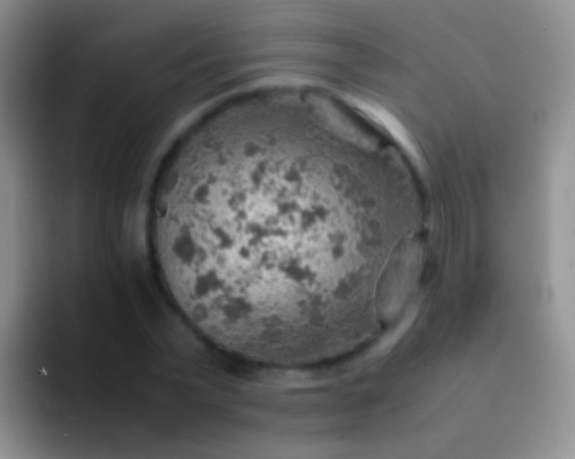 X0000092070783200709262045