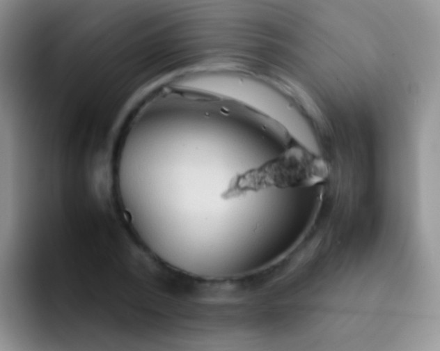 X0000092070784200709262045
