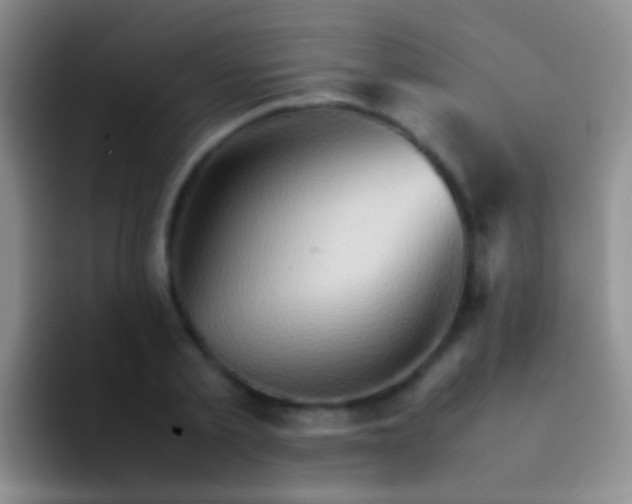 X0000092070789200709262045