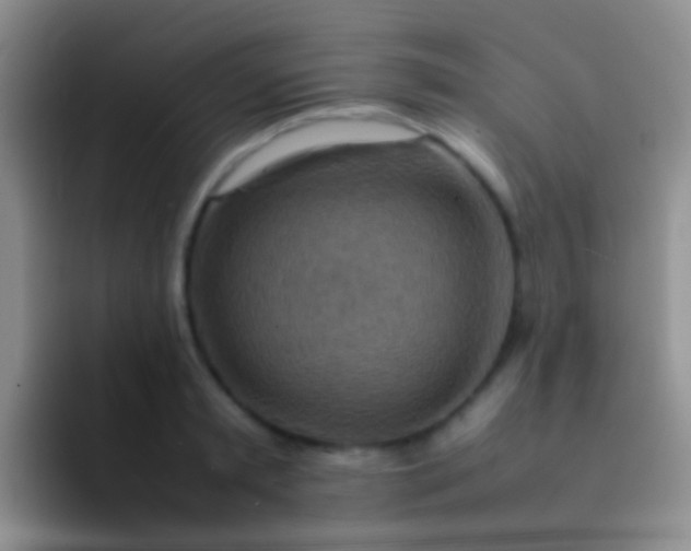 X0000092070797200709262045