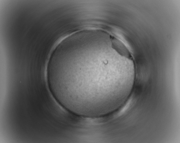 X0000092070803200709262045