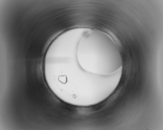 X0000092070804200709262045