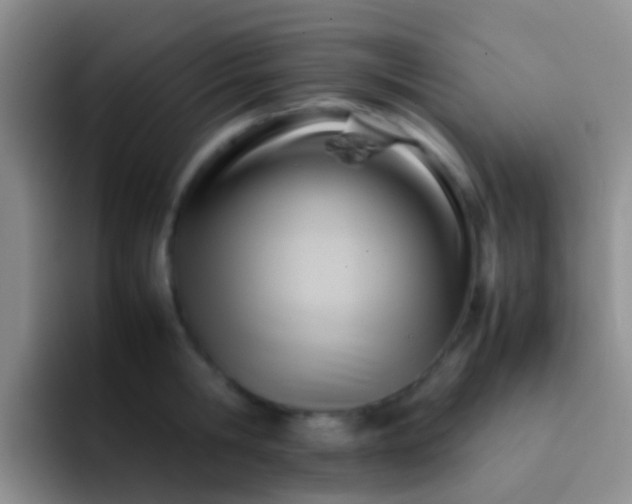 X0000092070806200709262045