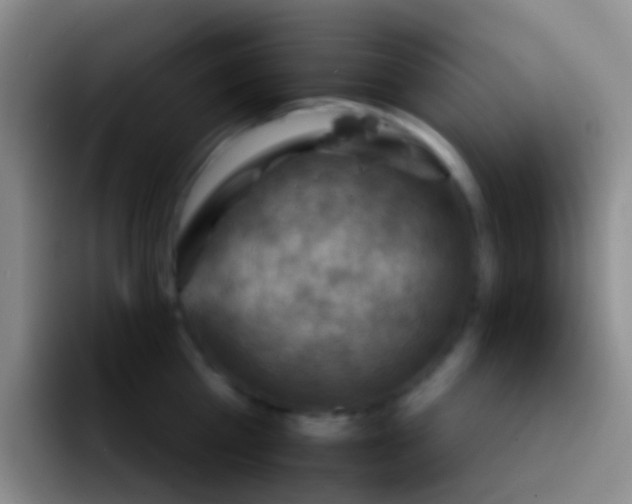 X0000092070809200709262045