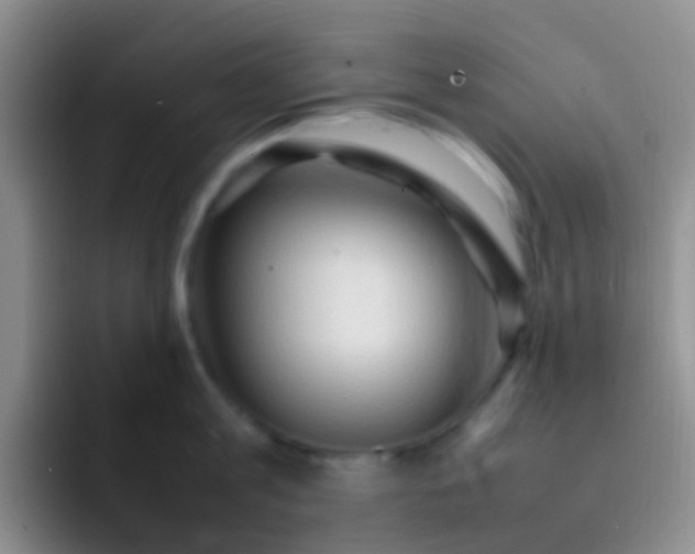 X0000092070813200709262045
