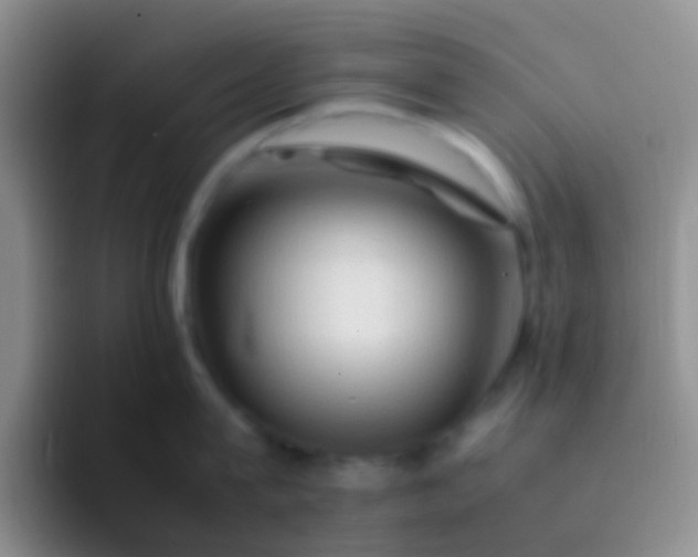 X0000092070815200709262045