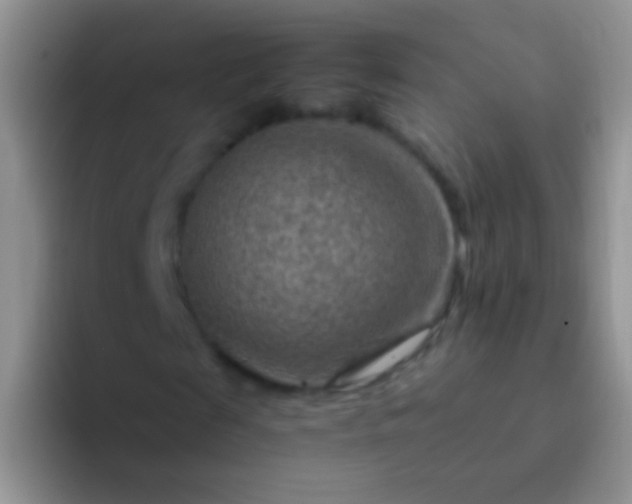 X0000092070817200709262044