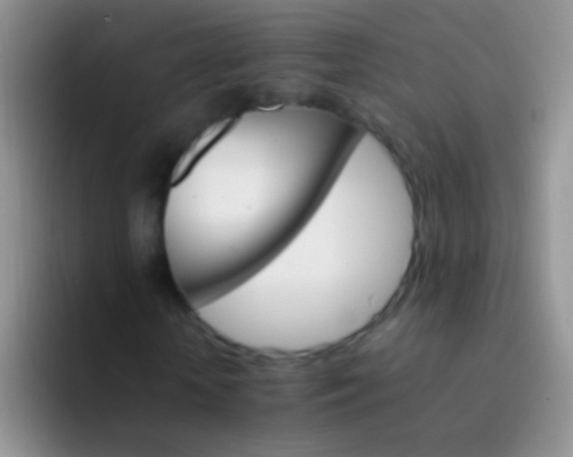 X0000092070818200709262044