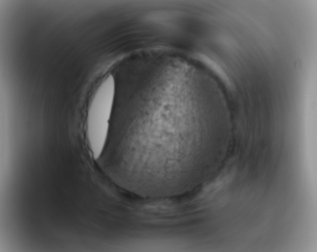X0000092070823200709262044