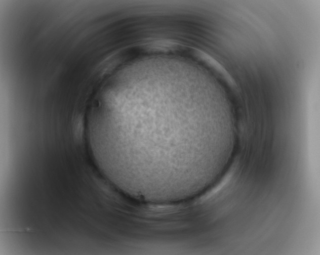 X0000092070825200709262044