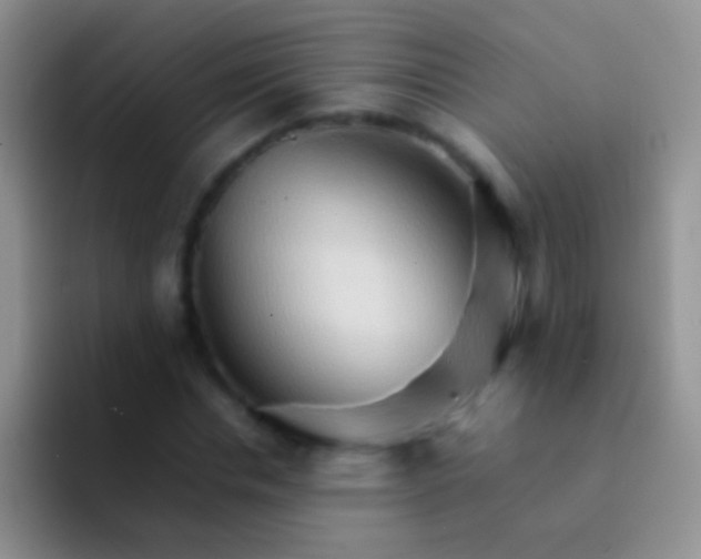 X0000092070826200709262044