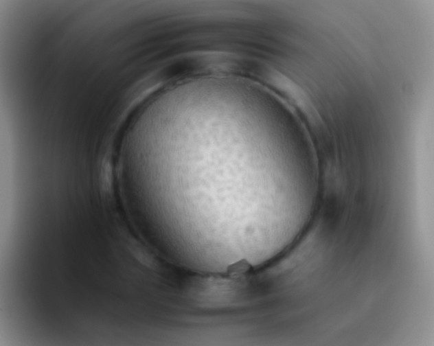 X0000092070827200709262044
