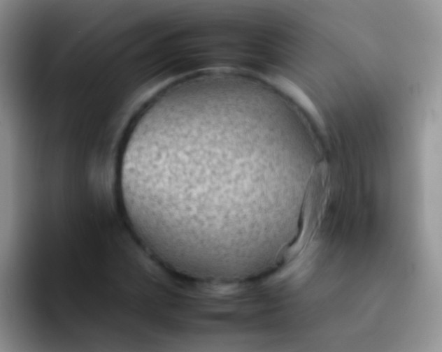 X0000092070831200709262044