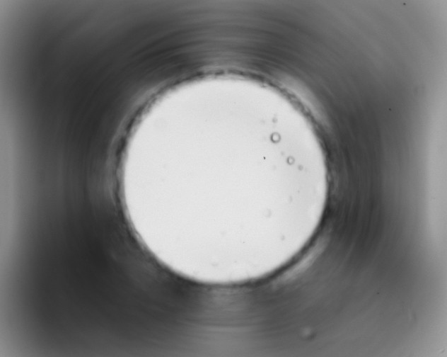 X0000092070832200709262044