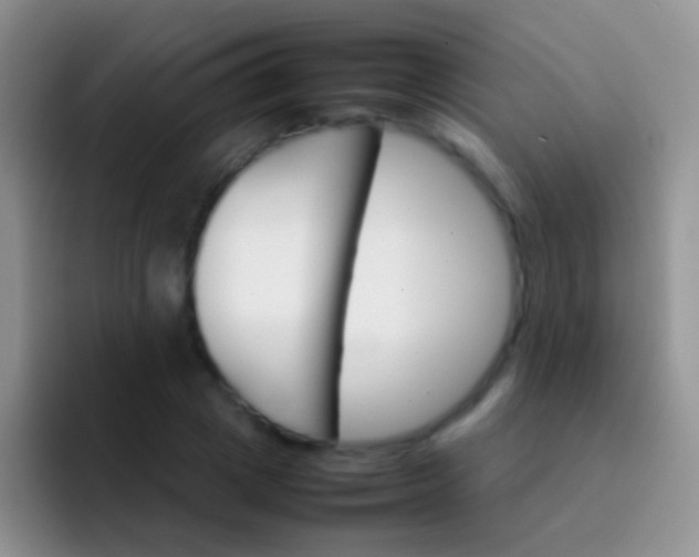 X0000092070833200709262044