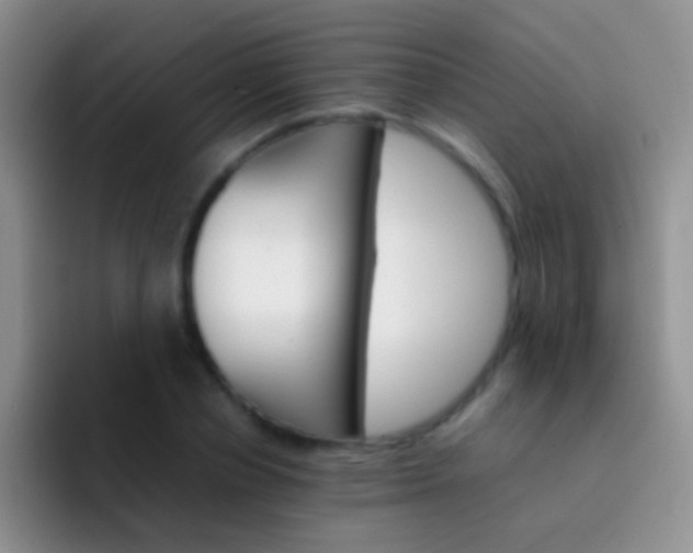 X0000092070834200709262044