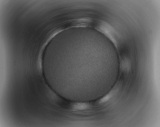 X0000092070835200709262044