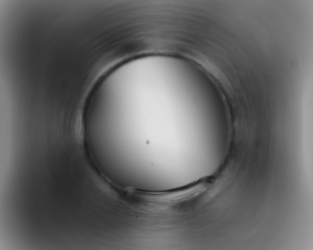 X0000092070838200709262044