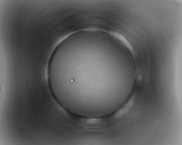 X0000092070839200709262044