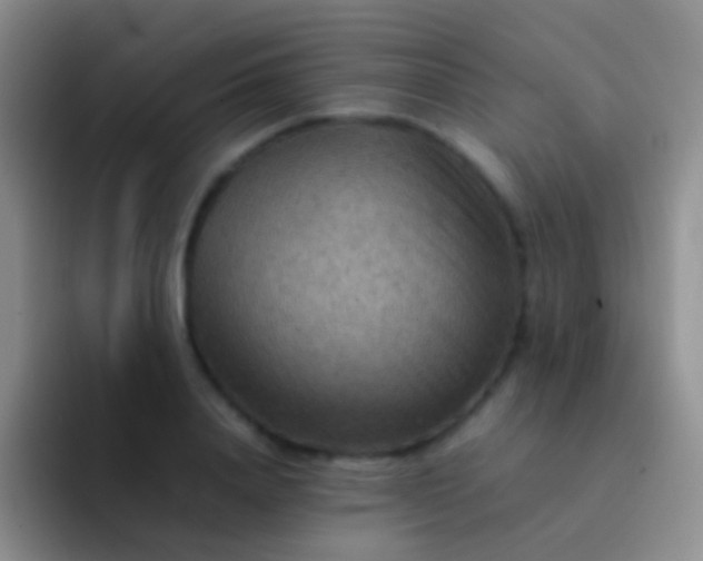 X0000092070840200709262044