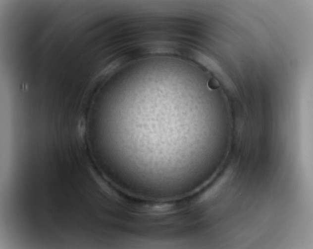 X0000092070841200709262044