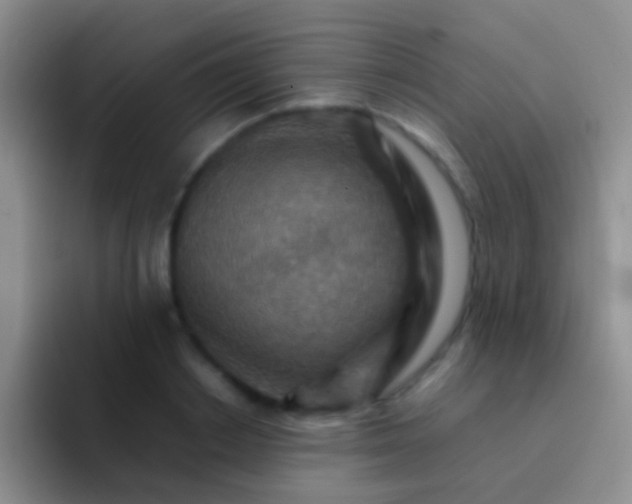 X0000092070842200709262044