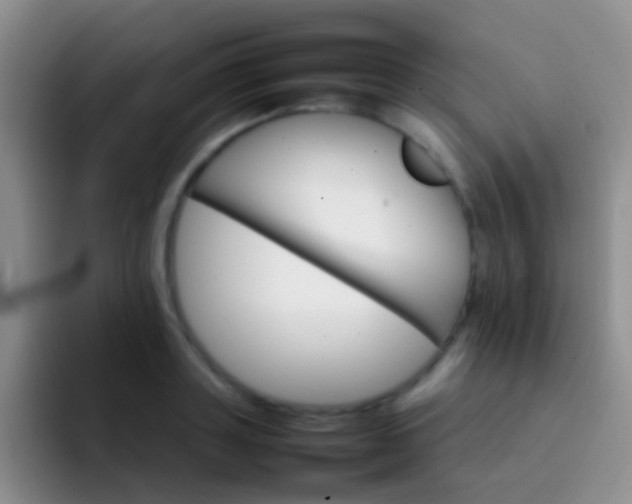 X0000092070843200709262044